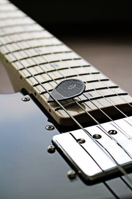 notes on the fretboard pdf